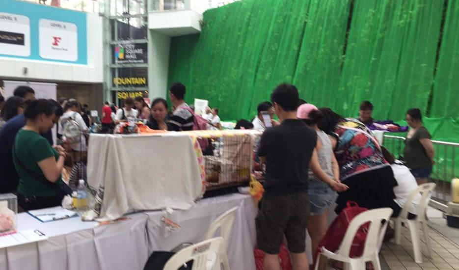 Insurance Market at Pet adoption drive