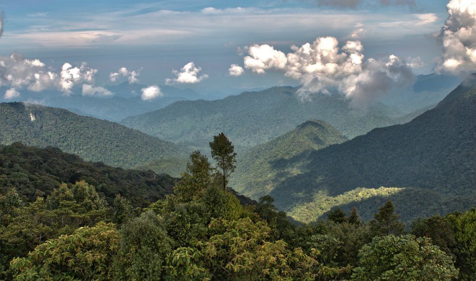 Road-trip-Malaysia