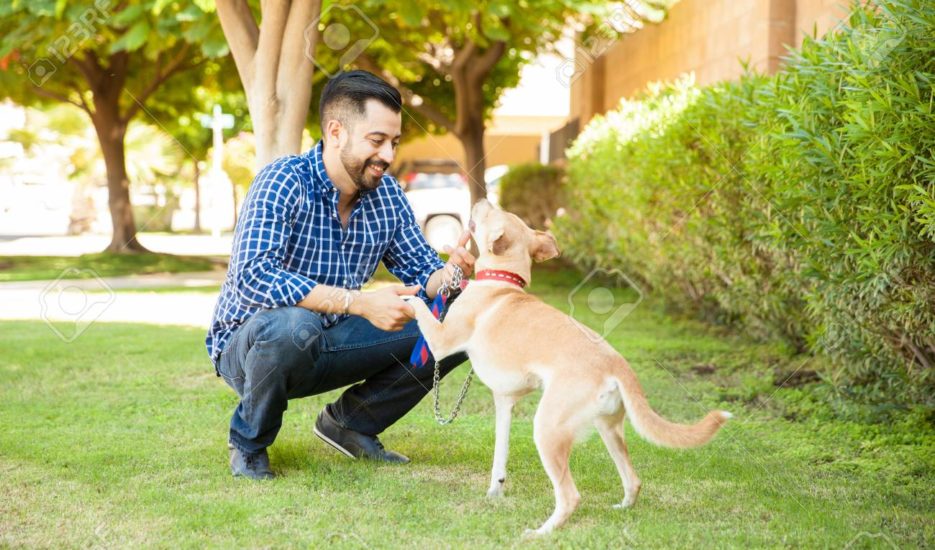Health benefits of having a dog as Pet