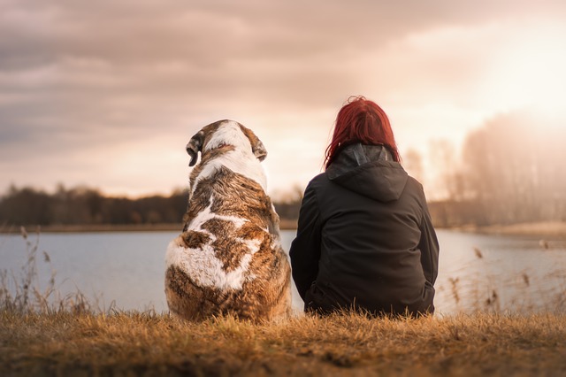 pet-insurance-singapore