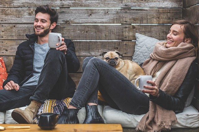 pet-insurance-policies