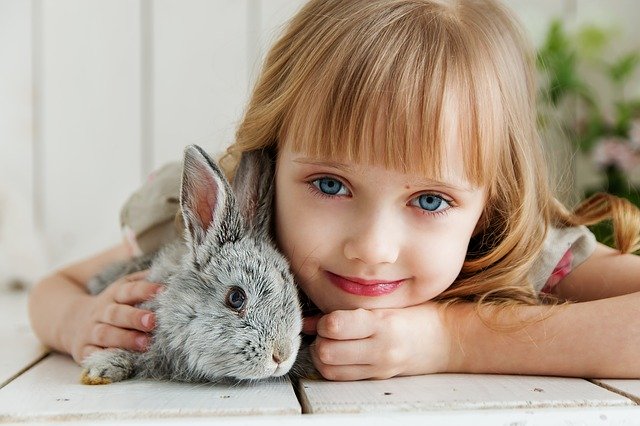 Pets-that-are-suitable-for-children-What-are-they?