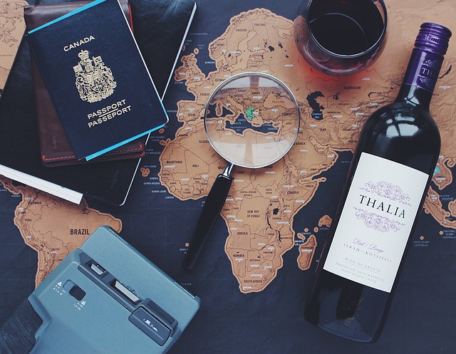 the-role-of-travel-insurance-in-the-new-normal